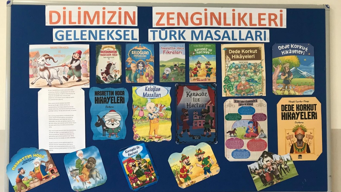 DİLİMİZİN ZENGİNLİKLERİ PROJESİ